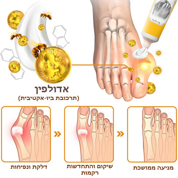 תמונה ממוזערת 2